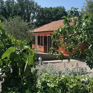 The Forest House Krk 2 Ferienhaus Kras